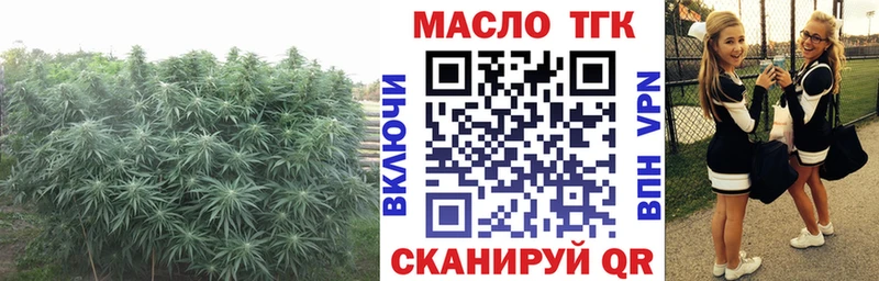 Дистиллят ТГК THC oil  Купить закладки  Ува 