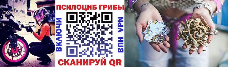 Купить где  Ува  Псилоцибиновые грибы ЛСД